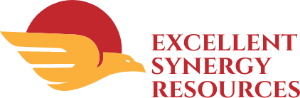 Excellent Synergy Resources